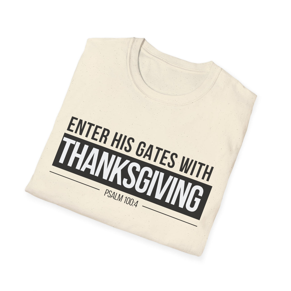 Enter His Gates With Thanksgiving T-Shirt (Light) CURVY