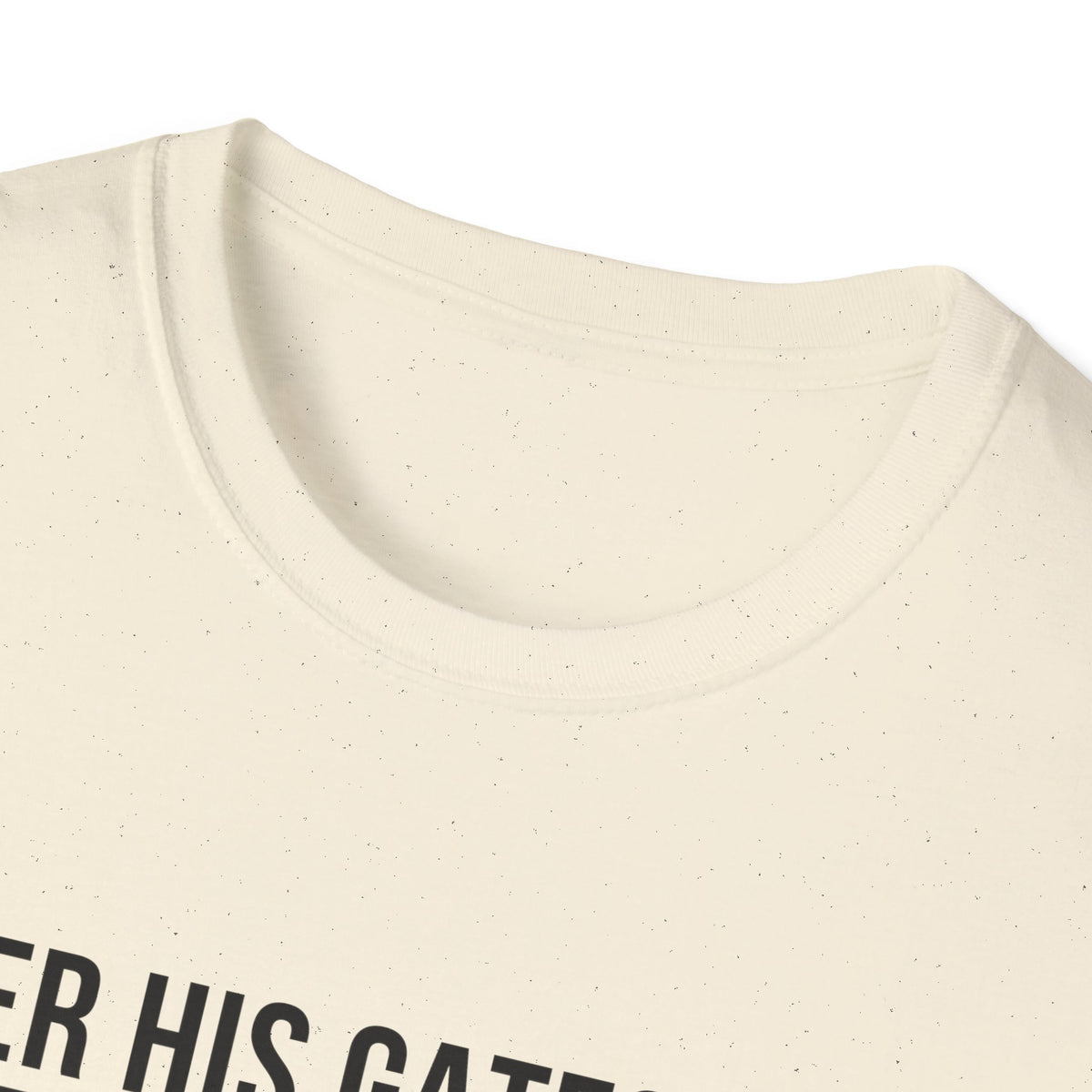 Enter His Gates With Thanksgiving T-Shirt (Light) CURVY