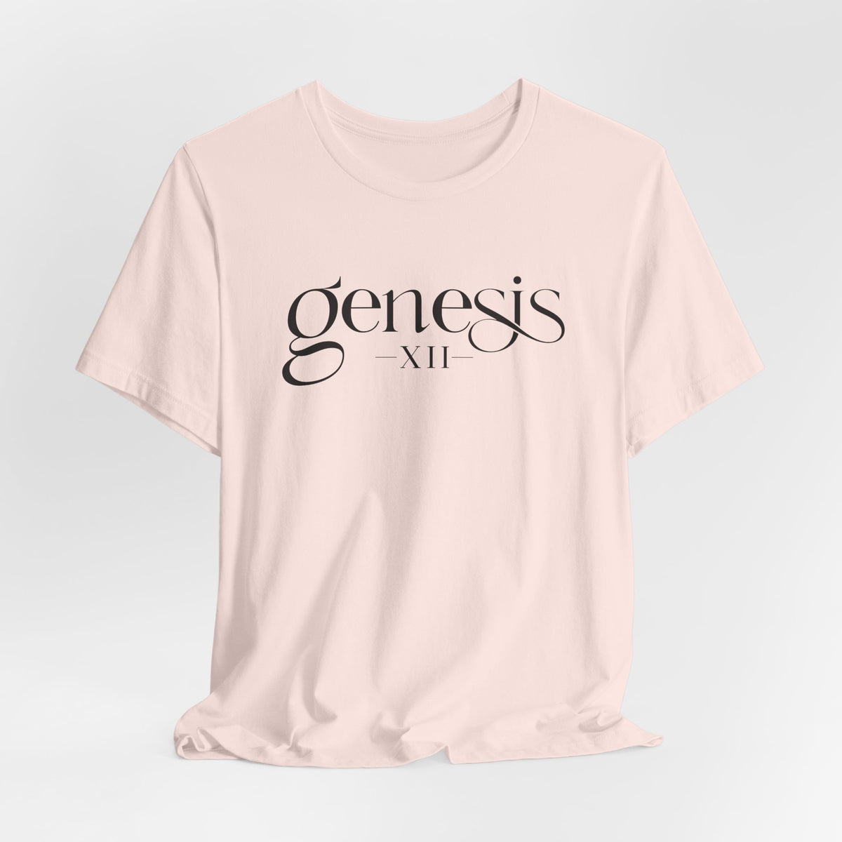 Genesis XII Unisex T-Shirt | Genesis 12 Bible Verse (Light)
