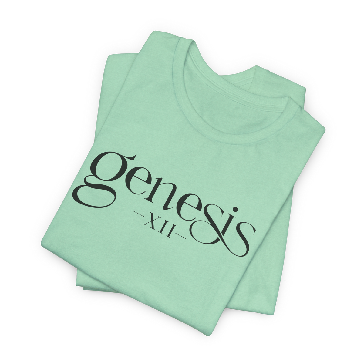 Genesis XII Unisex T-Shirt | Genesis 12 Bible Verse (Color)