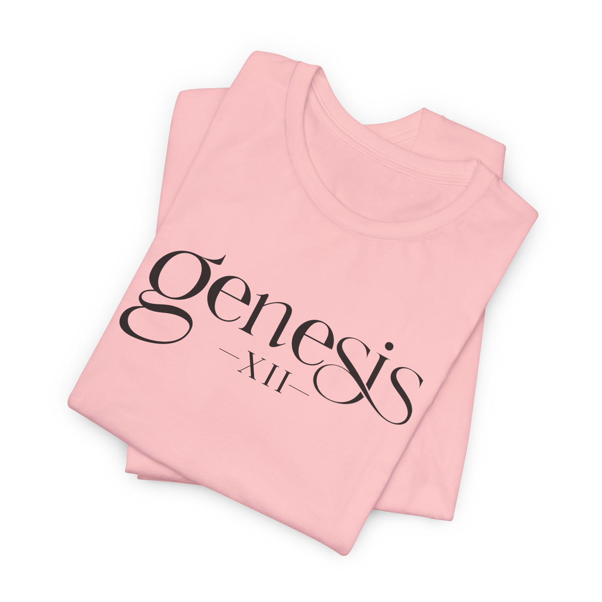 Genesis XII Unisex T-Shirt | Genesis 12 Bible Verse (Color)