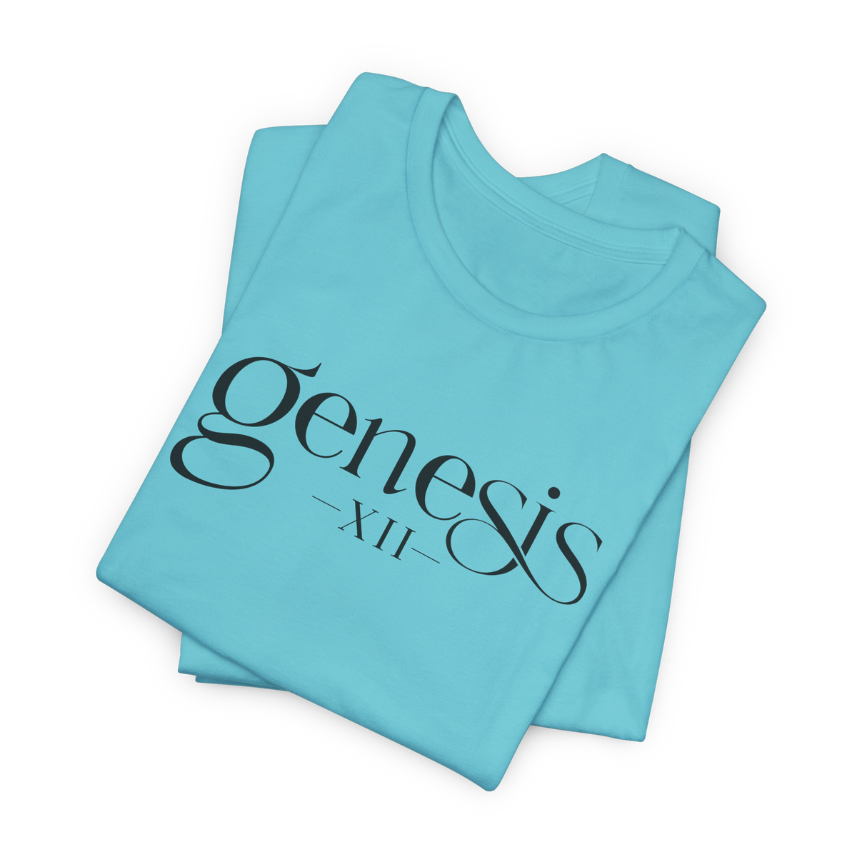 Genesis XII Unisex T-Shirt | Genesis 12 Bible Verse (Color)