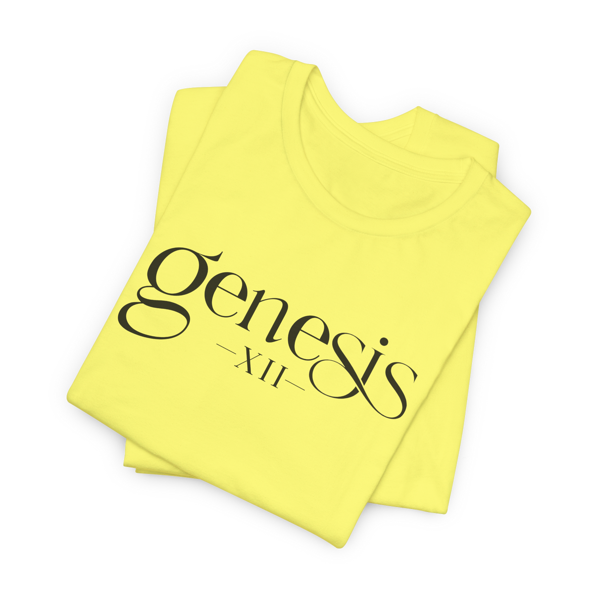 Genesis XII Unisex T-Shirt | Genesis 12 Bible Verse (Color)