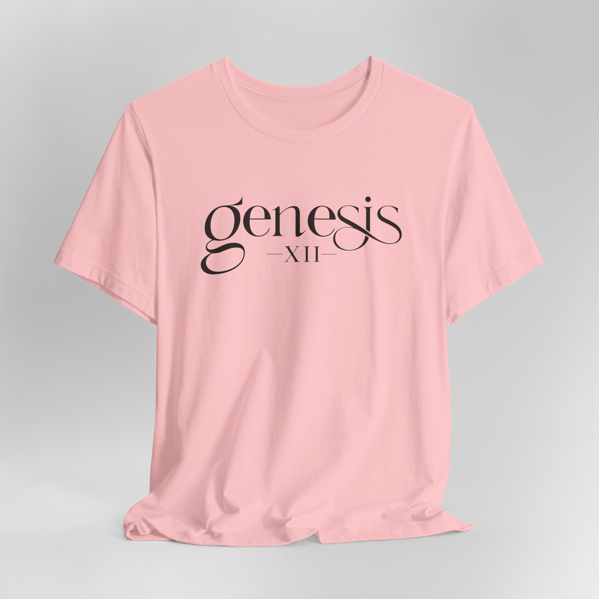 Genesis XII Unisex T-Shirt | Genesis 12 Bible Verse (Color)