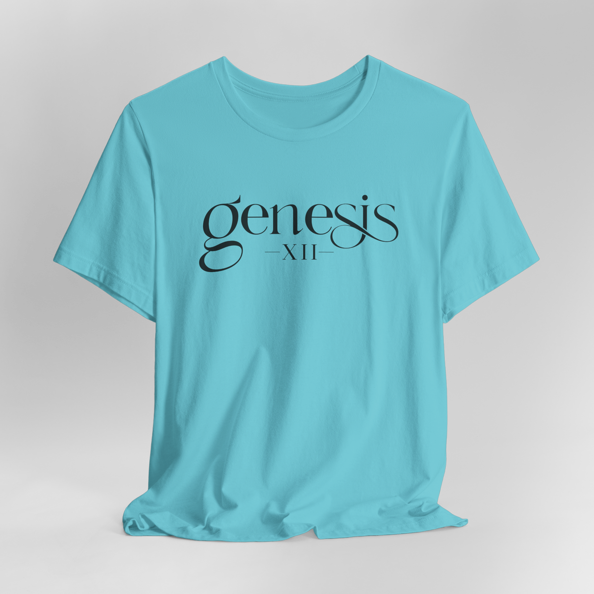 Genesis XII Unisex T-Shirt | Genesis 12 Bible Verse (Color)