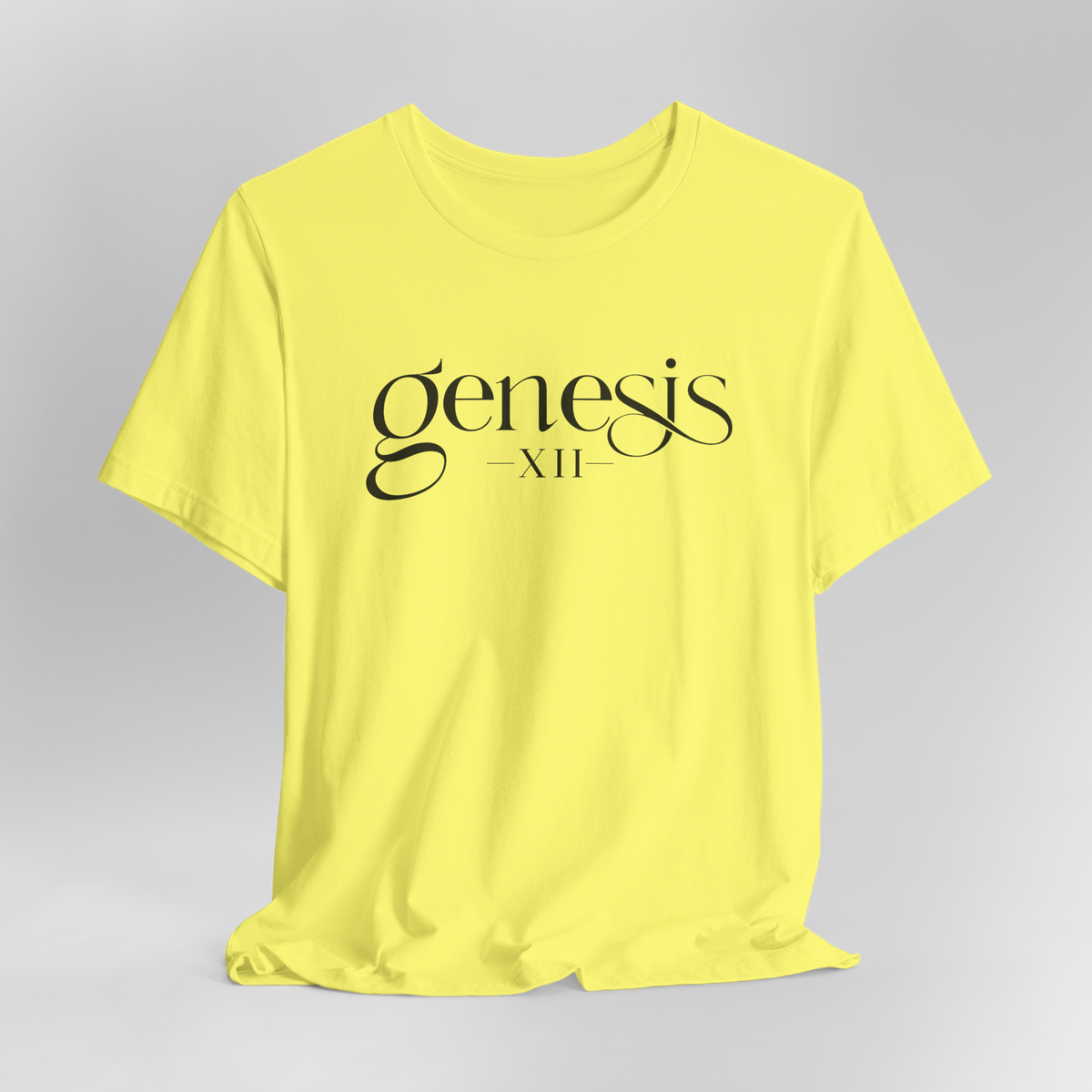 Genesis XII Unisex T-Shirt | Genesis 12 Bible Verse (Color)